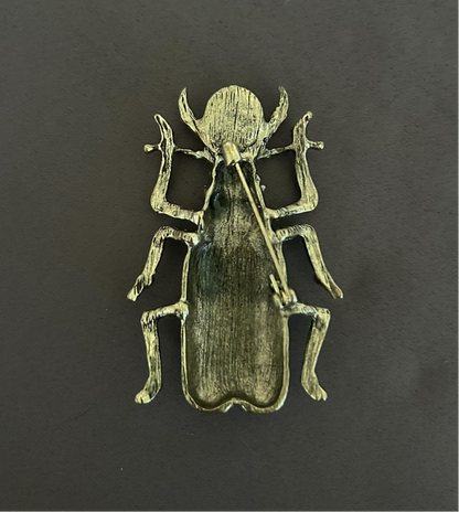 Beetle enamel brooch